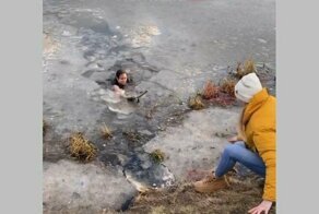 Девушка прыгнула за собакой в ледяную воду
