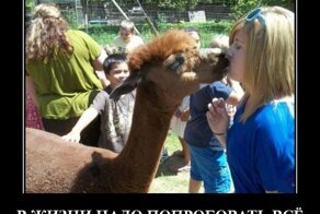 Новые прикольные демотиваторы по-русски