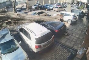 Ураган "Юля" буянит в Одессе (24/02/2020)!