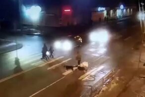 Авария дня. В Архангельске мужчина насмерть сбил пенсионерку