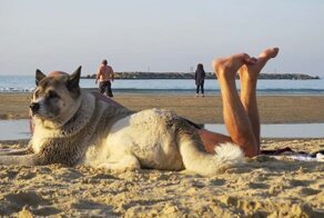 Вот так совпадение: удачные моменты от греческого фотографа