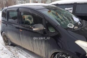 Фекальный мститель: в Кемерове автомобилиста наказали за занятое парковочное место