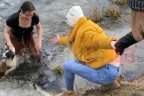Спасшая провалившуюся под лёд собаку женщина поделилась подробностями