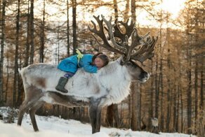 Один день из жизни семьи оленеводов
