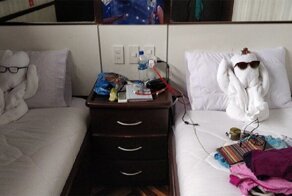 Горничные-скульпторы радуют гостей невероятными фигурами из полотенец