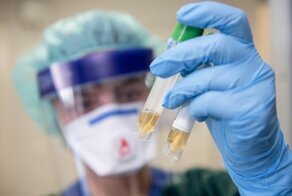 Германия. Паники нет!