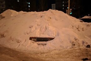 Подснежники бывают разные