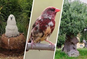 Снимки, доказывающие, что этот мир ещё может вас удивить. И не раз