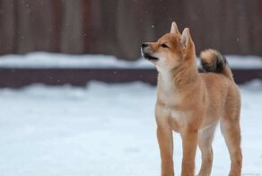 С добрым утром!