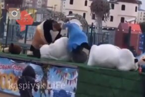 В Дагестане аниматоры в костюмах героев «Маши и Медведя» устроили потешное побоище