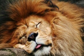 10 лучших и худших продуктов для сна