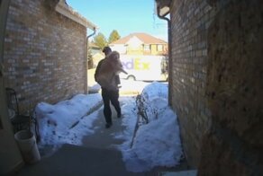 Водитель службы доставки нашел потерявшуюся собаку и вернул ее домой