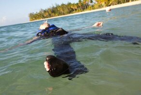 7 "смертных грехов" Доминиканы