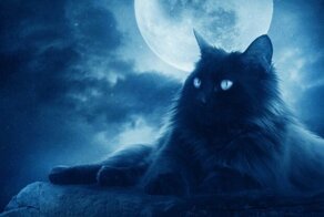 Краткая биография кота Баюна — самого неоднозначного сказочного героя