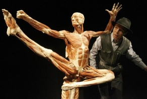 Выставка Миры тела – искусство или глумление? (16 фото)