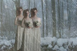 Невесты-зомби (20 фото)