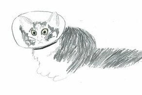 Мужчина пожертвовал 45 долларов  и получил 3 замечательных рисунка