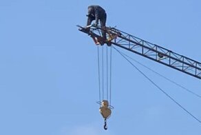 Риск — дело благородное! Ну что же, вот и подборка славных Д'Артаньянов