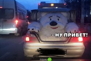 Подборка автомобильных приколов