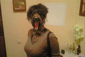 Фотошоп смешные картинки