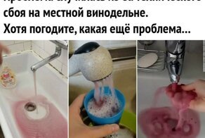 Смешные картинки из соц сетей
