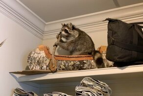 Что тут происходит?