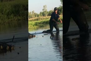 Необычная дружба крокодила и человека