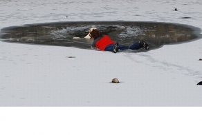 Хозяйка собаки чуть не погибла, спасая своего пса (4 фото)