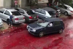 Улицы аргентинского города залило кровью