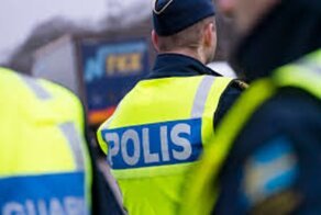 Три шведки задержали и скрутили мигранта-воришку