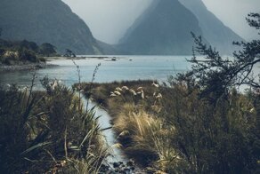 С добрым утром