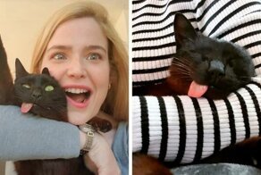 Пушистая любовь: Спасённая кошка-кривляка