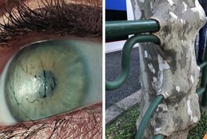 Надо же уметь так снимать, чтобы фото выглядели как отфотошоплены