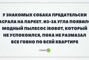 Смешные картинки из соц сетей