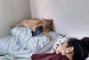 Фотоподборка