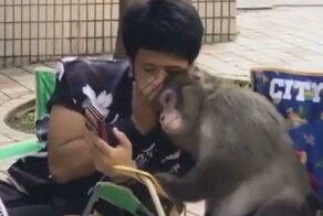 Обычный разговор двух хороших друзей