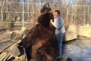 Гифки разные