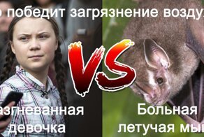 Неожиданная польза от пандемии коронавируса