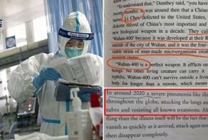 Книга, опубликованная в 1981 году, предсказывает вспышку коронавируса в 2020 году