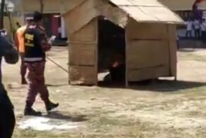 Пожарная бригада не успела потушить пожар во время показательного выступления
