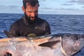 Подводному рыбаку пришлось побороться с голодными акулами за свой улов