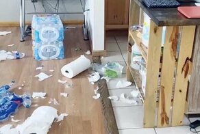 Собака уничтожила весь запас туалетной бумаги