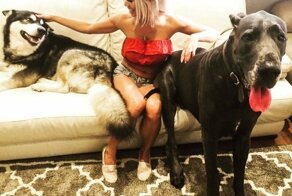 Гром - 95-килограммовый немецкий дог