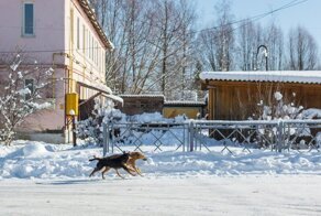 Колорит российской провинции