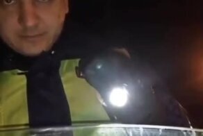 Уловка с сотрудником ДПС не сработала