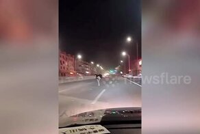 В Китае по оживленной дороге бегал страус