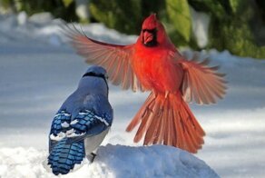 Фотоподборка