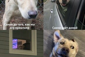 Свежие мемы и картинки поднимающие настроение