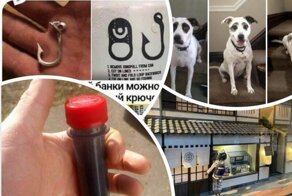 Крутые вещи, которые невозможно пропустить