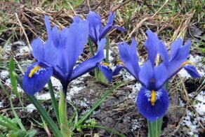 Весна на дачке-2